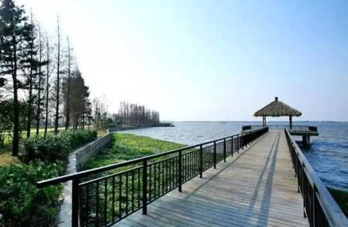 上海最大的淡水湖，面积是杭州西湖的11倍，黄浦江的源头就是它