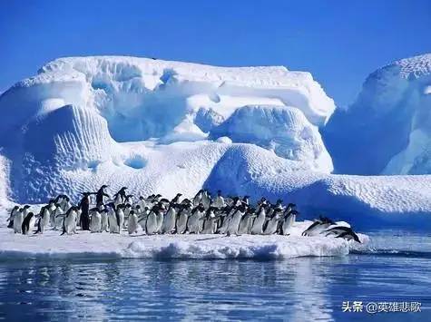 关于南极，你所不知道的一些冷知识